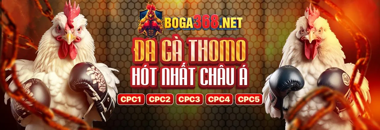 Xu hướng iGaming 2024 và nền tảng Win55
